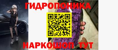 мдпв Аргун