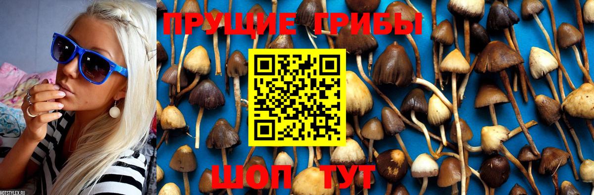 Псилоцибиновые грибы Magic Shrooms  где продают наркотики  Беслан  Вход с VPN 